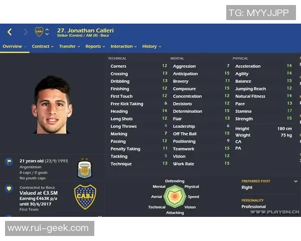 欧州足球迷与球星身份差异的深度剖析与文化对比 欧州足球迷与球星身份差异的深度剖析与文化对比