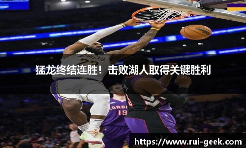bsports官网入口